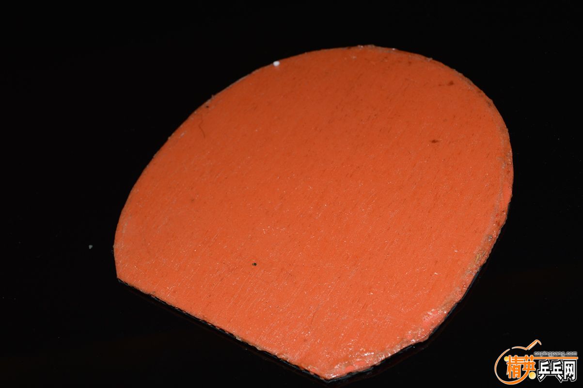 DSC_0040.JPG