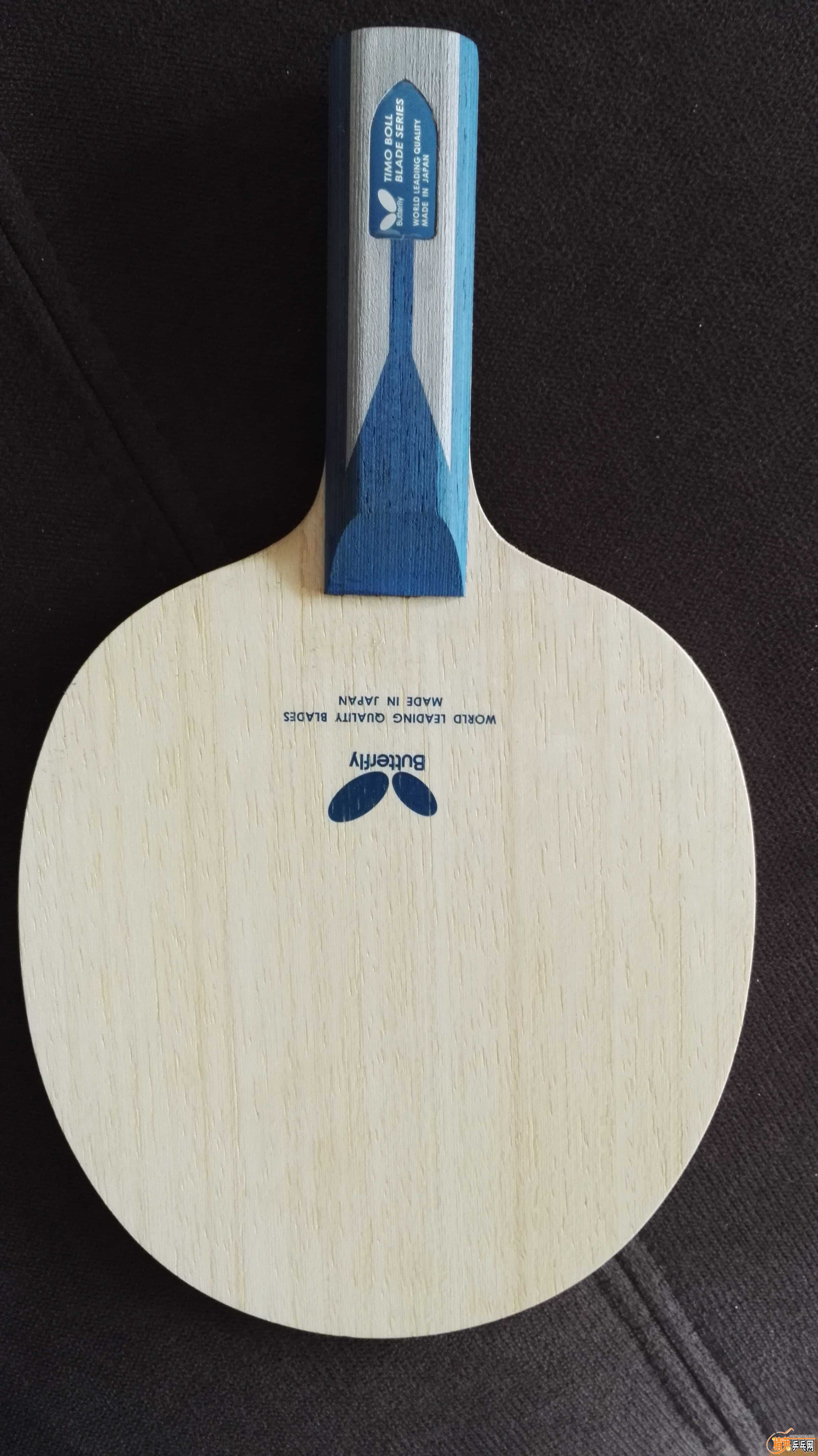 Timo Boll ZLC ST2