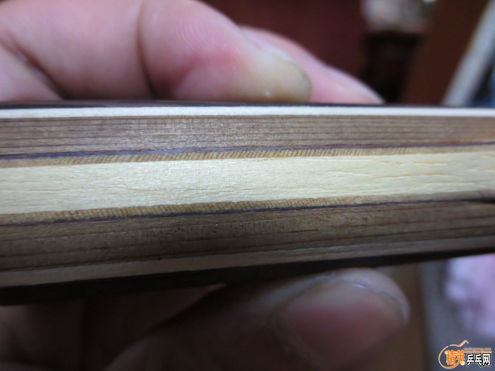 20151006223203.JPG