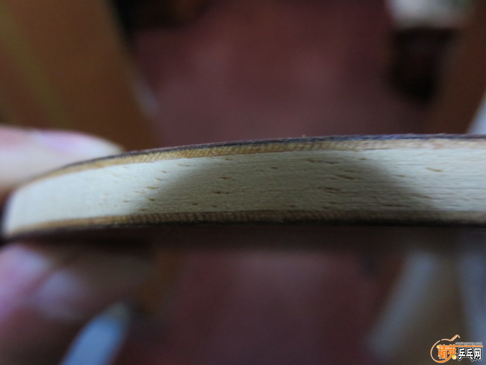 20151006223224.JPG