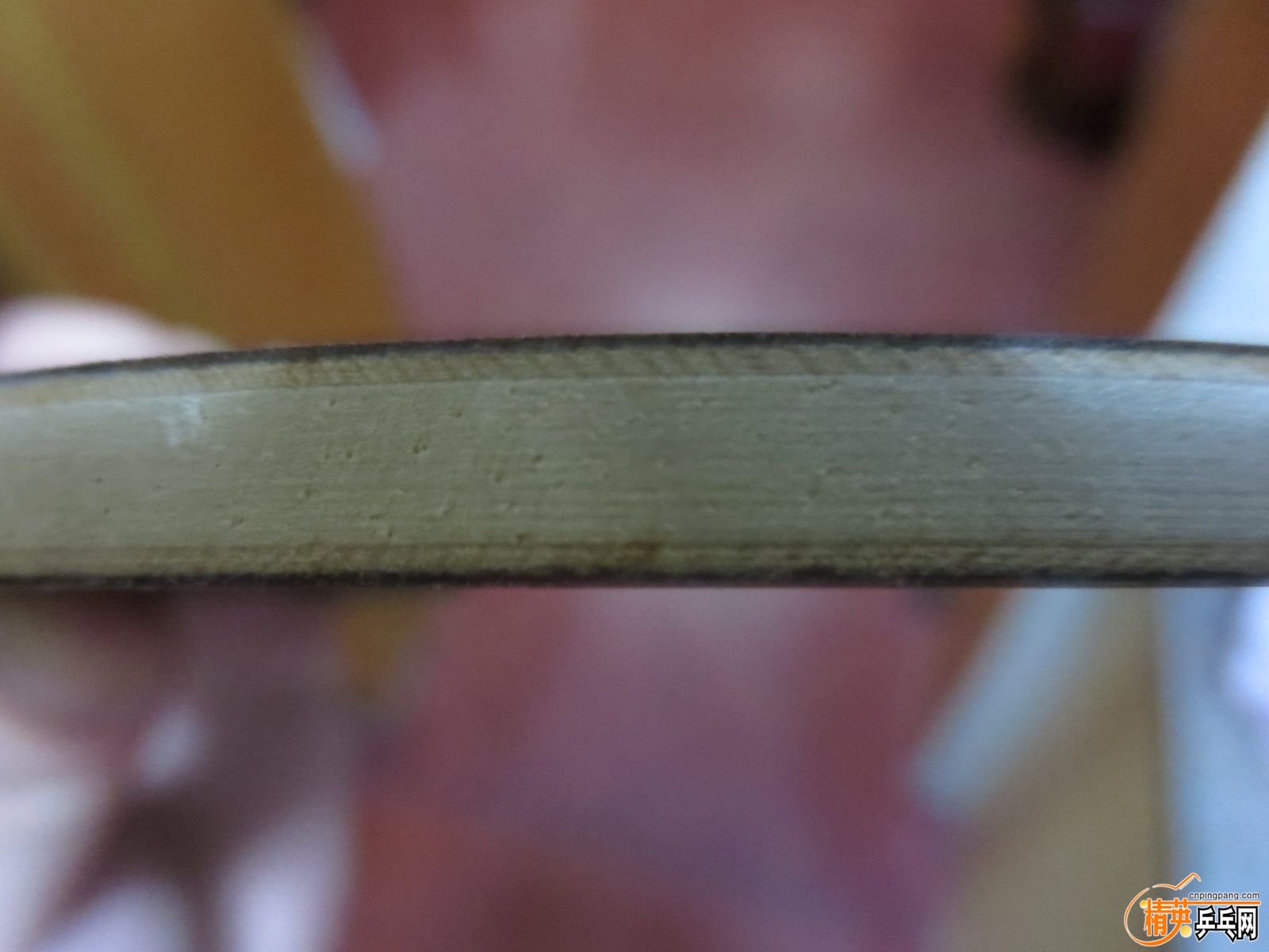 20151006223244.JPG