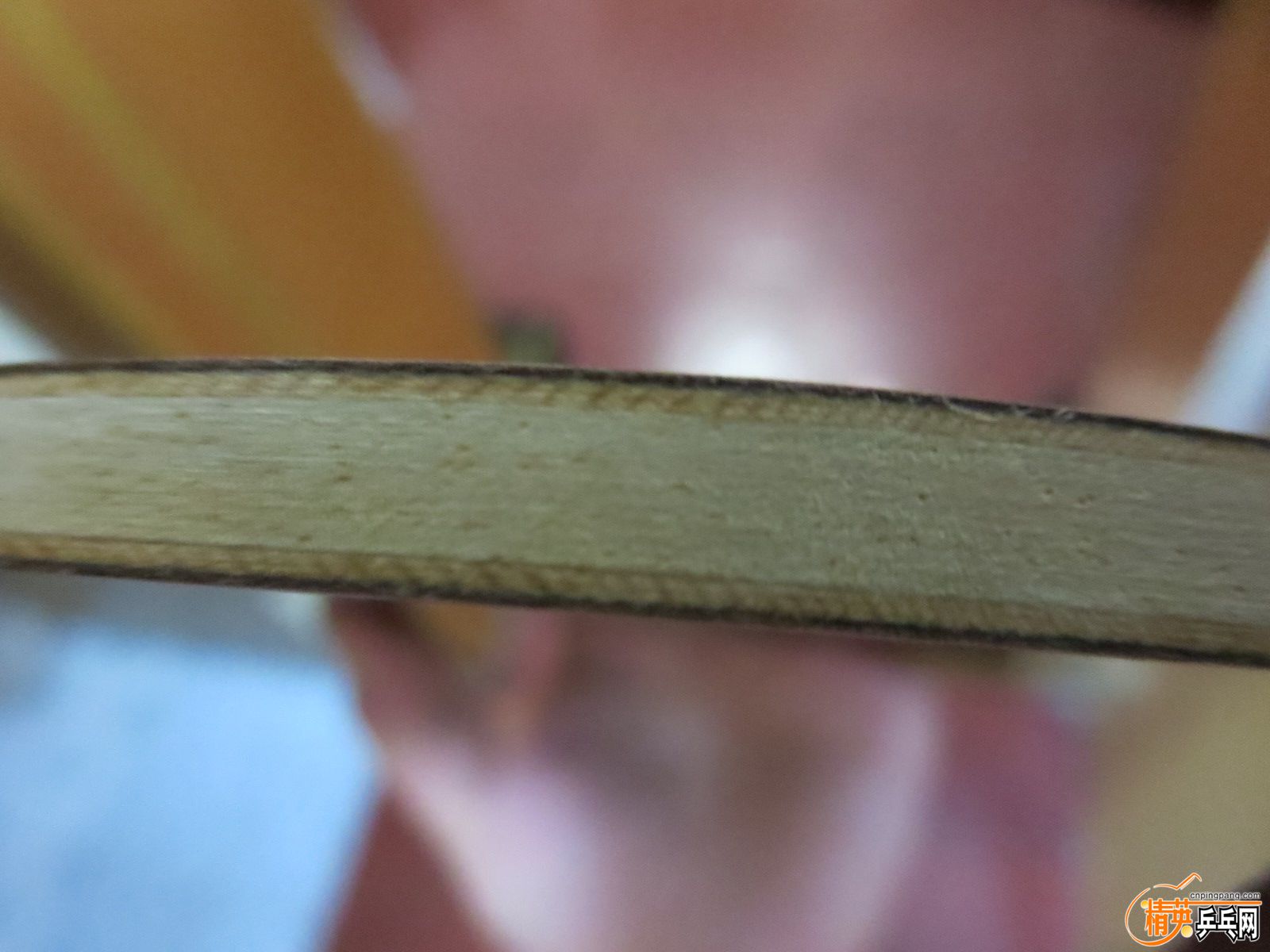 20151006223259.JPG