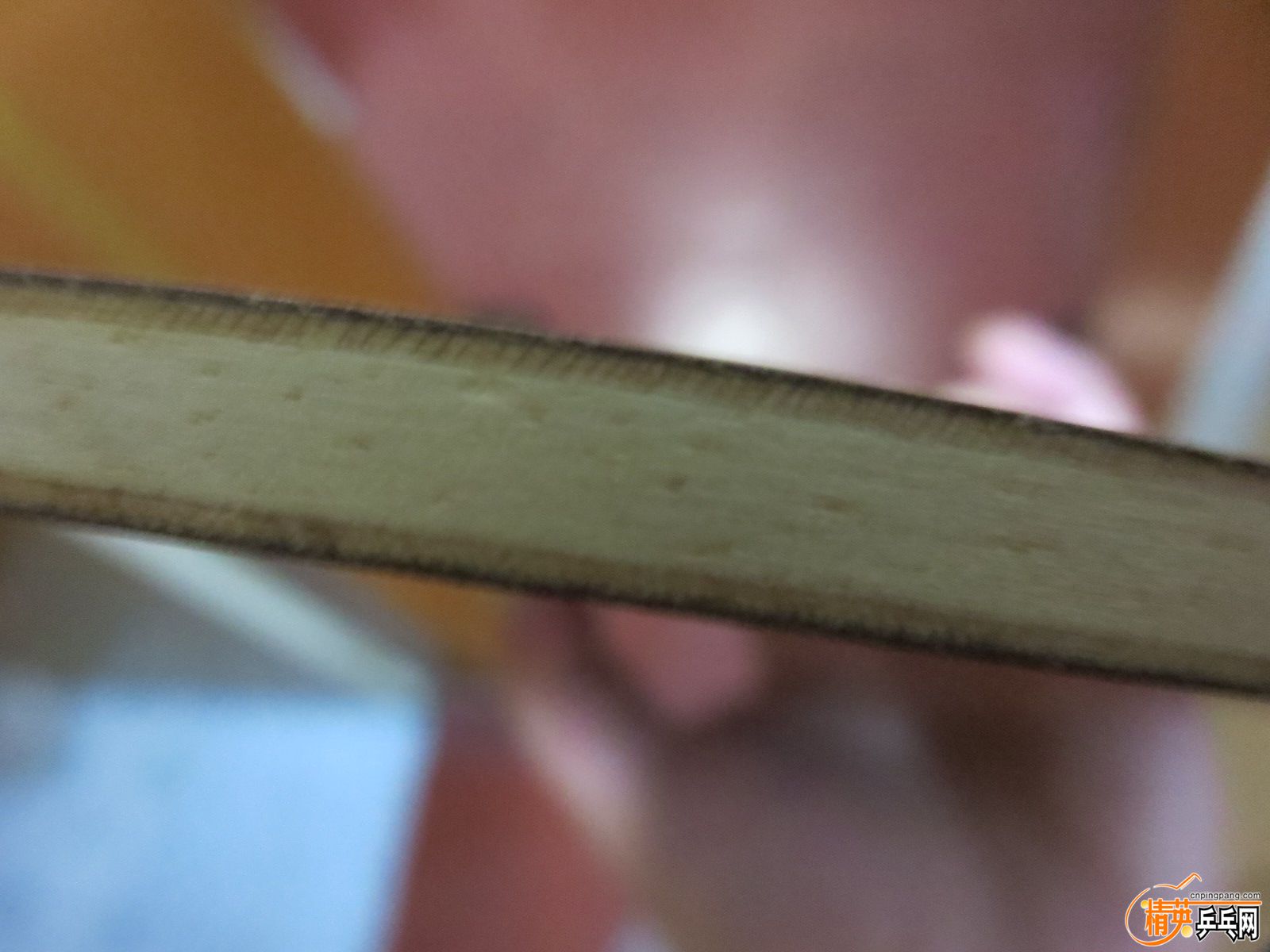 20151006223456.JPG