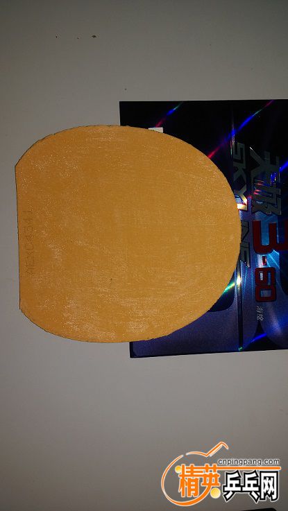 IMAG0368.jpg