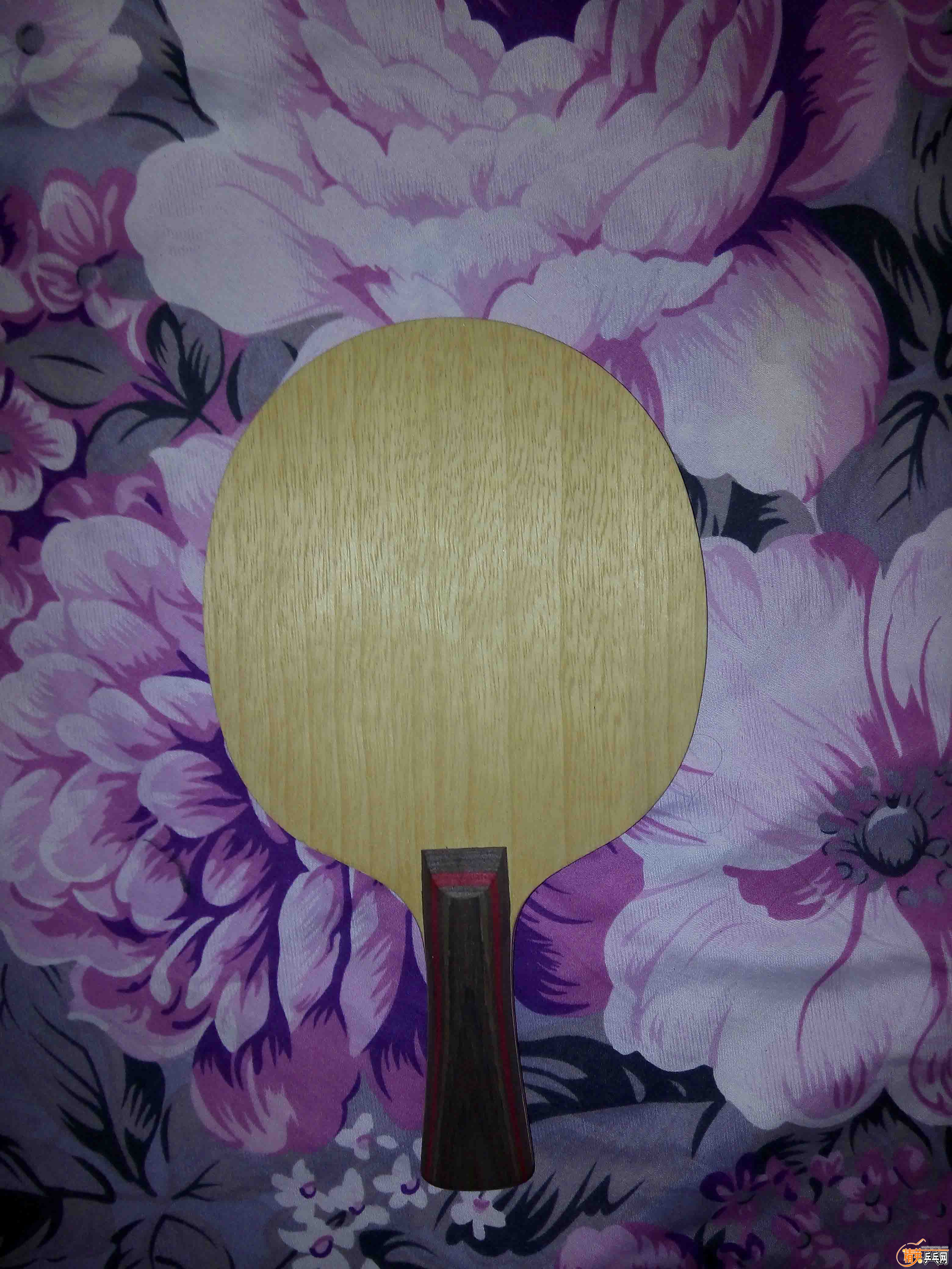 IMG_20151019_050853 ����.jpg