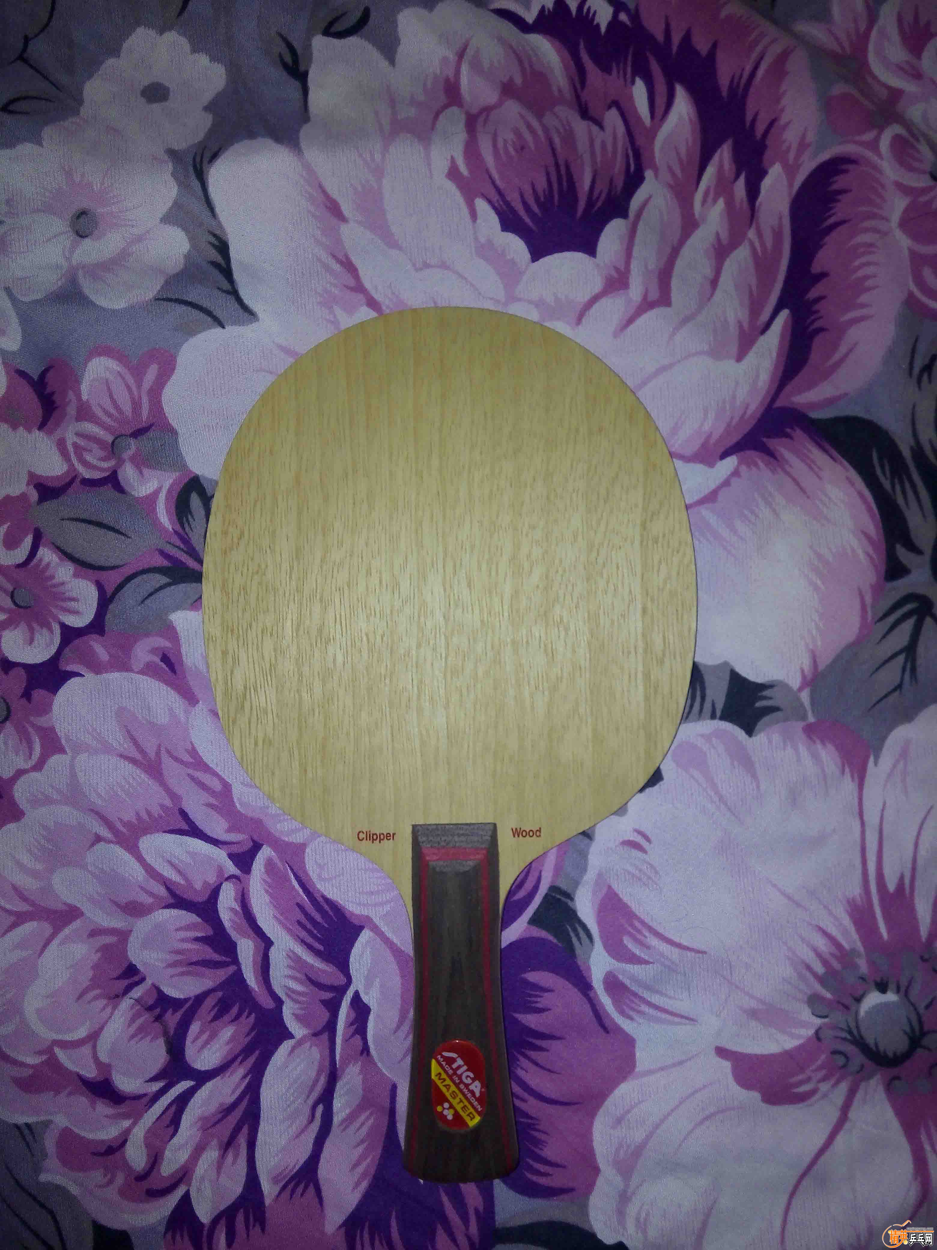 IMG_20151019_050948 ����.jpg