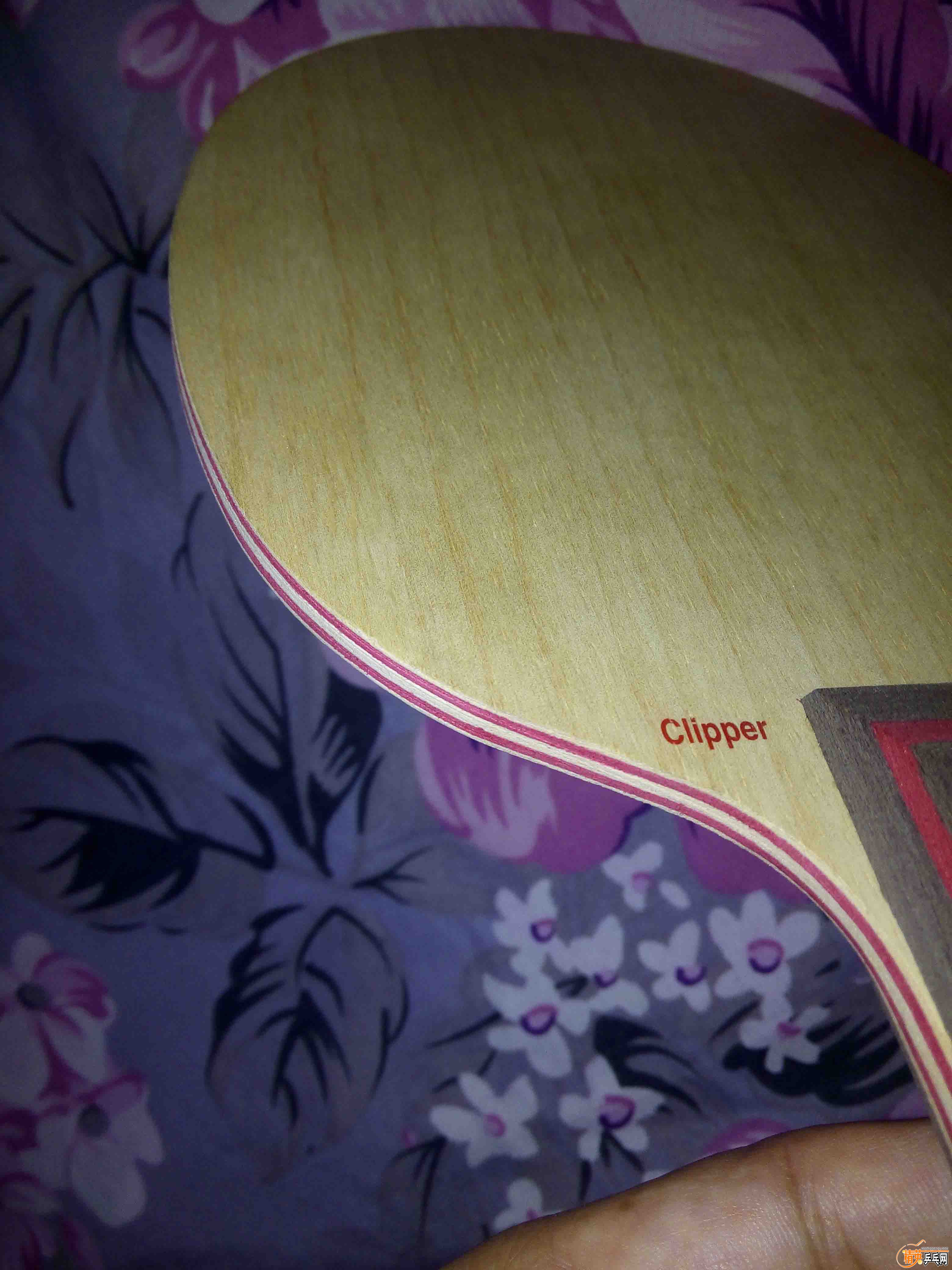 IMG_20151019_051158 ����.jpg