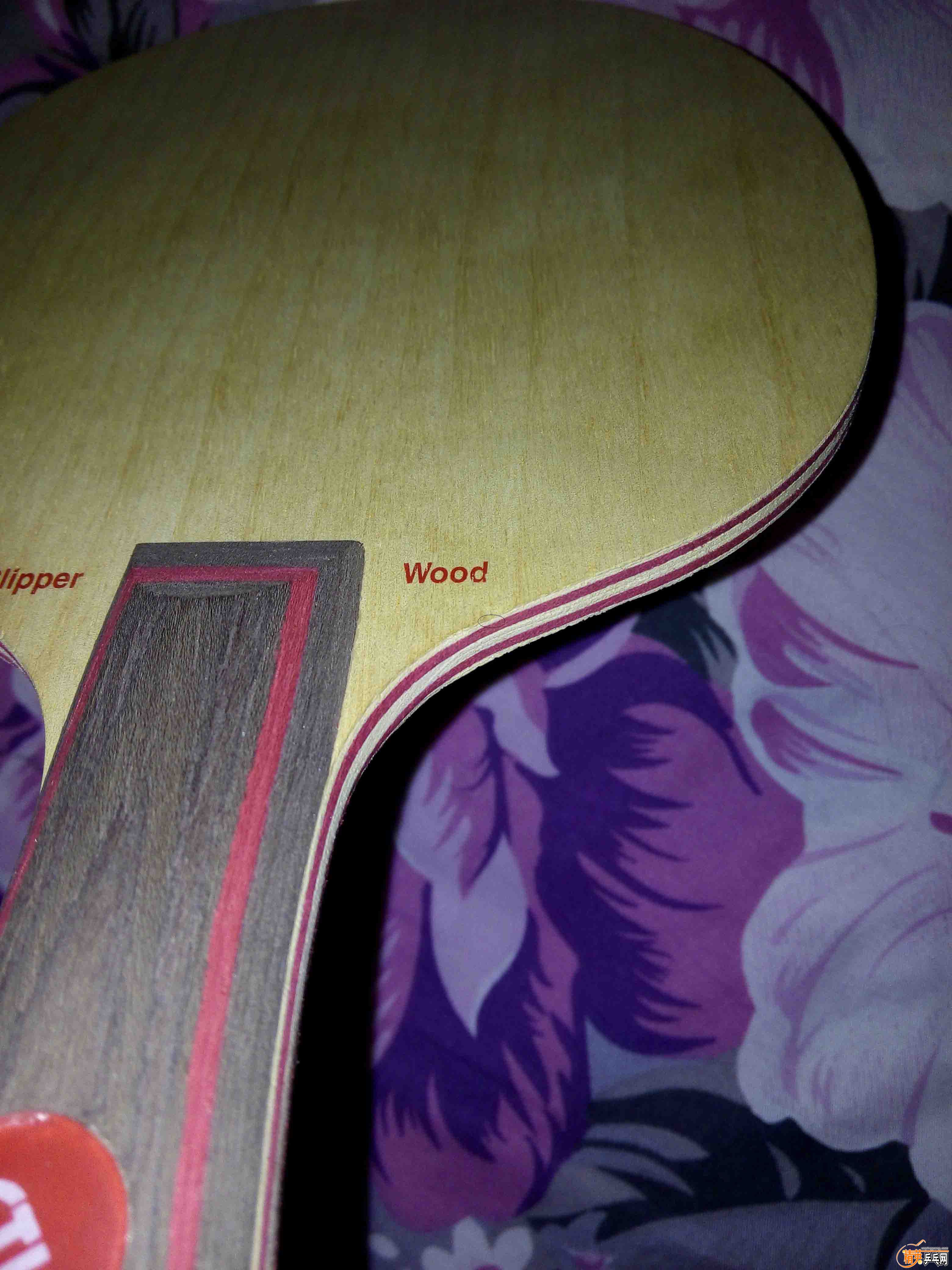 IMG_20151019_0510421 ����.jpg