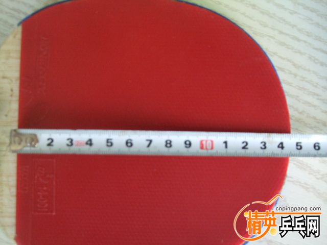 DSCF4538.JPG