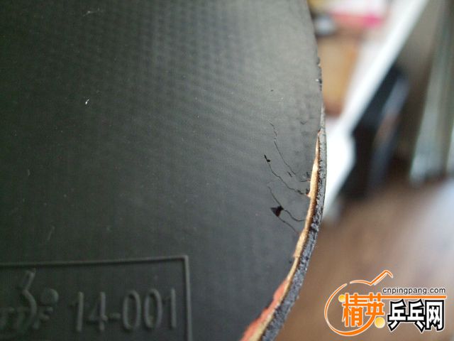 DSCF4548.JPG