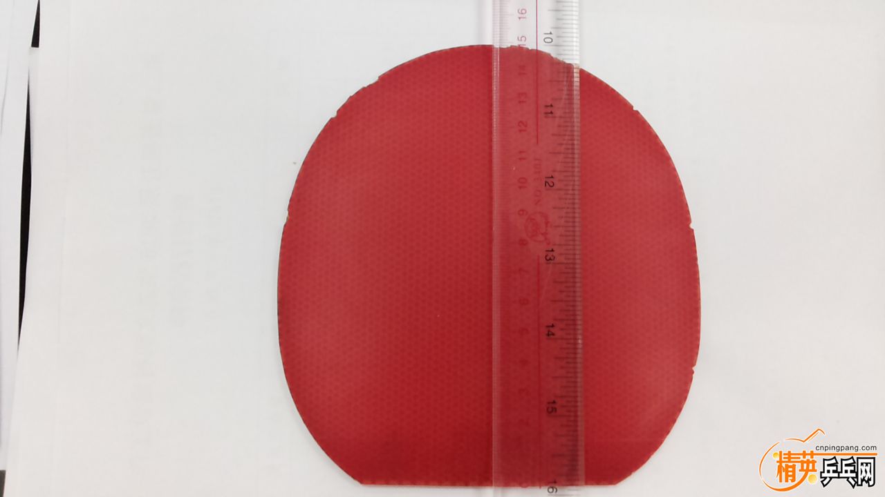 20151030_084708.jpg