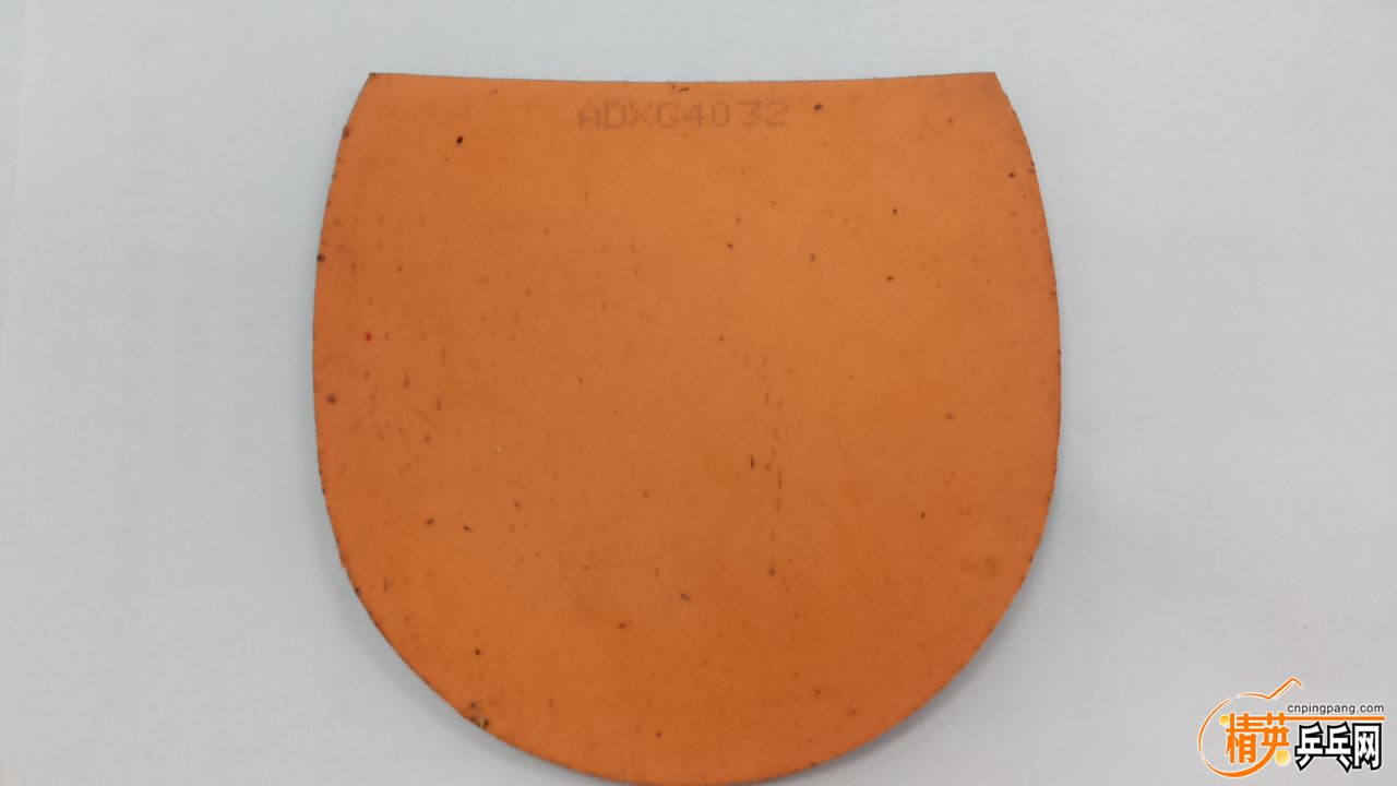 20151030_084529.jpg