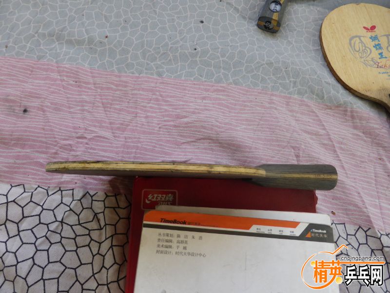 P1000985 (800x600).jpg