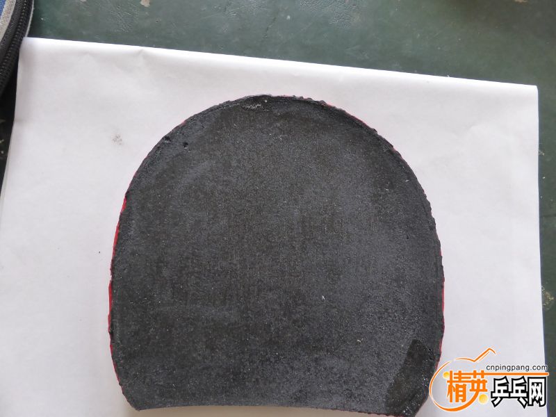 P1000990 (800x600).jpg