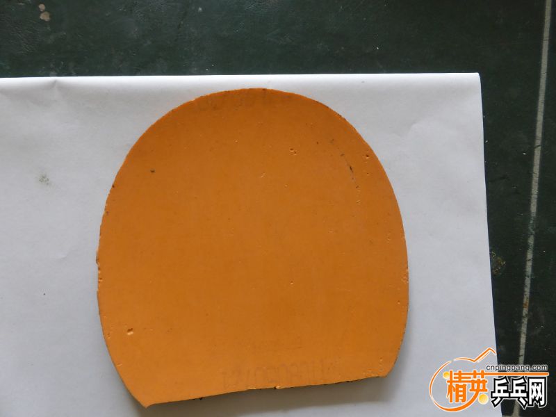 P1000988 (800x600).jpg