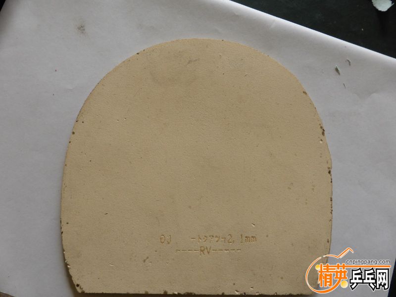 P1000994 (800x600).jpg