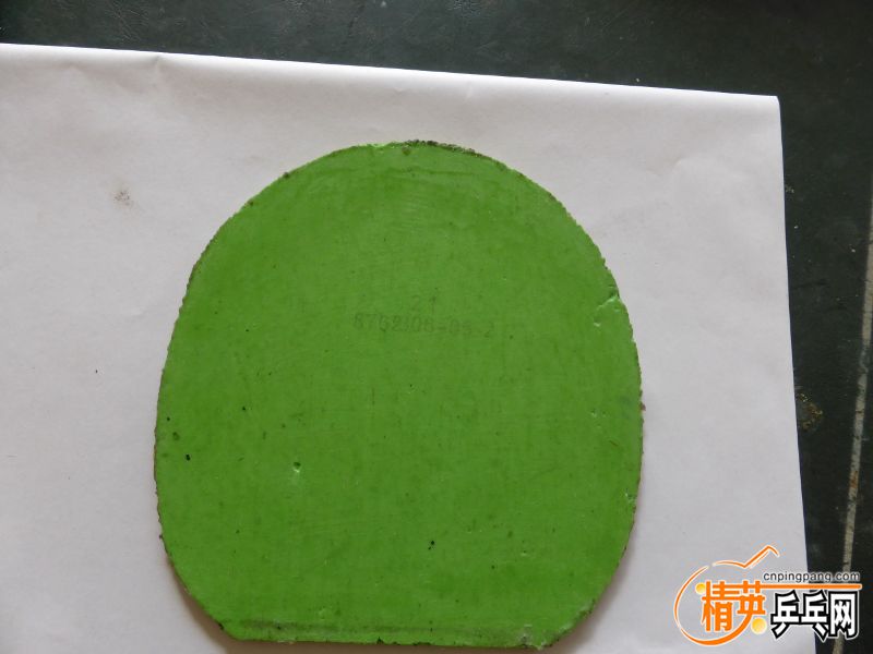 P1000992 (800x600).jpg