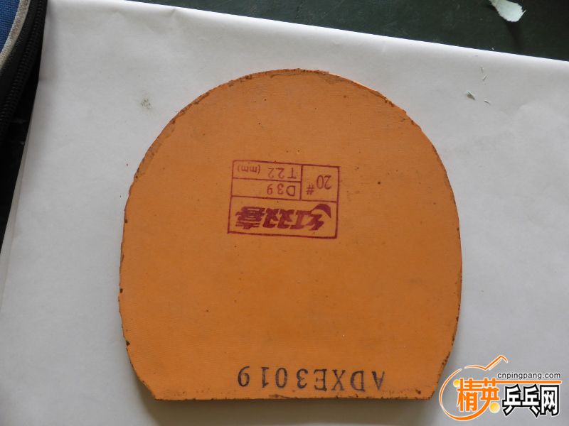 P1000996 (800x600).jpg