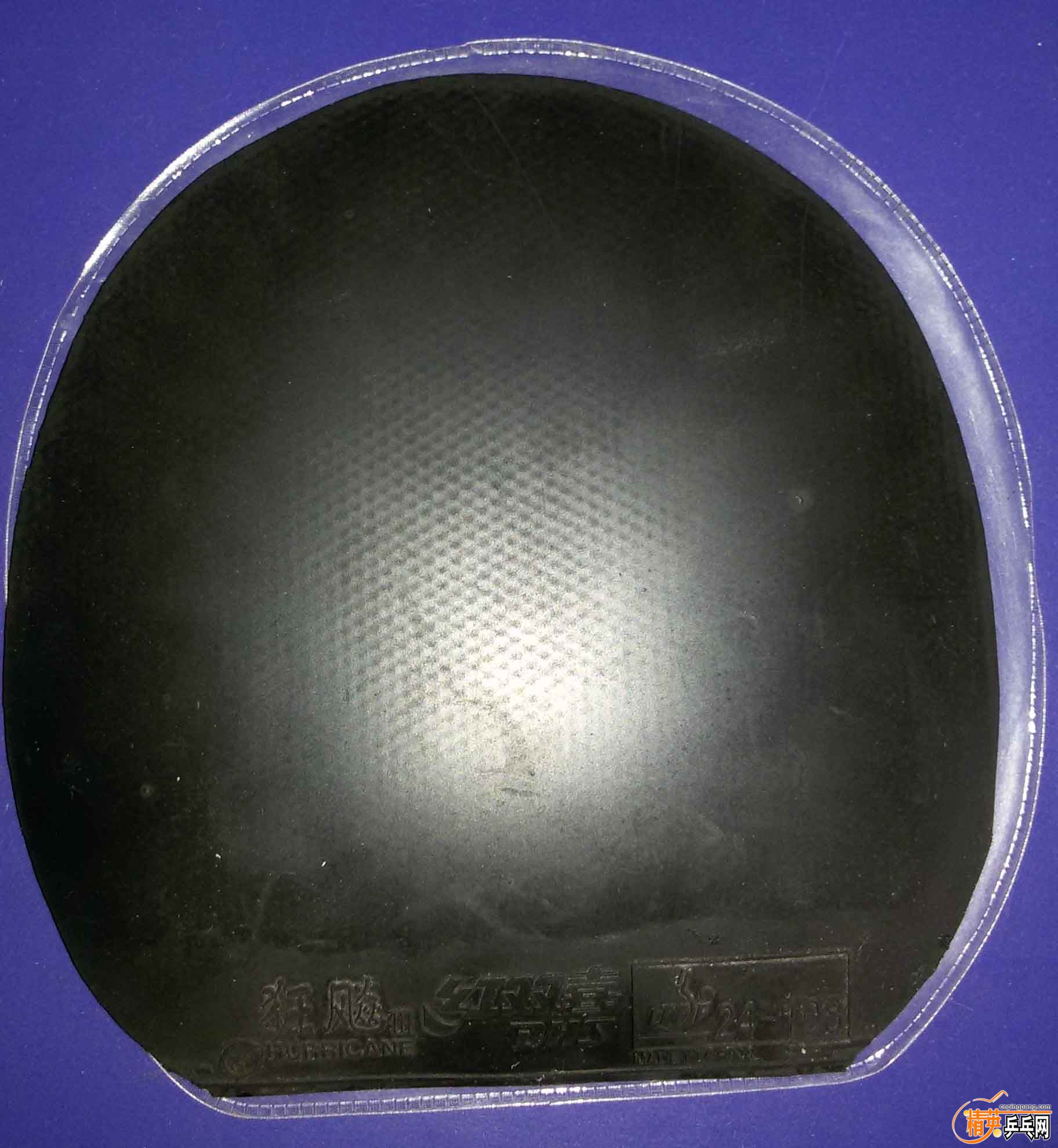 ��ת 20150802_142840.jpg