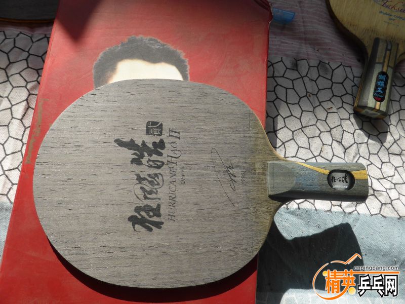 P1010014 (800x600).jpg