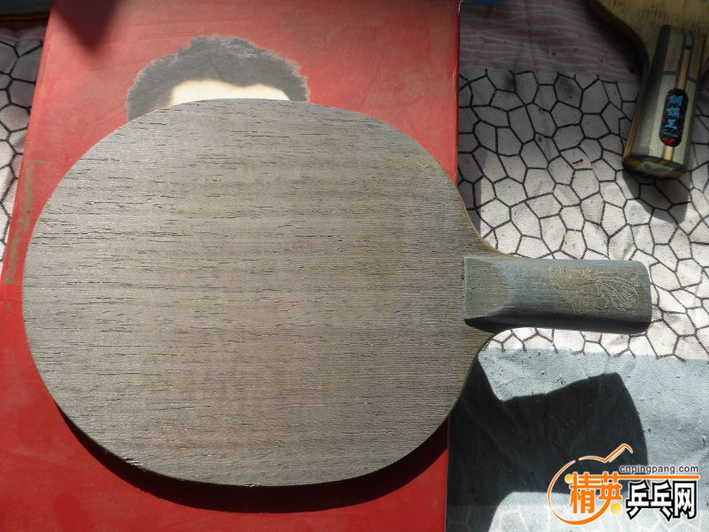 P1010015 (800x600).jpg