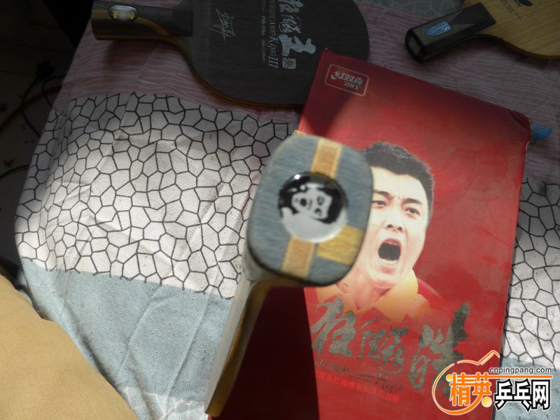 P1010016 (800x600).jpg