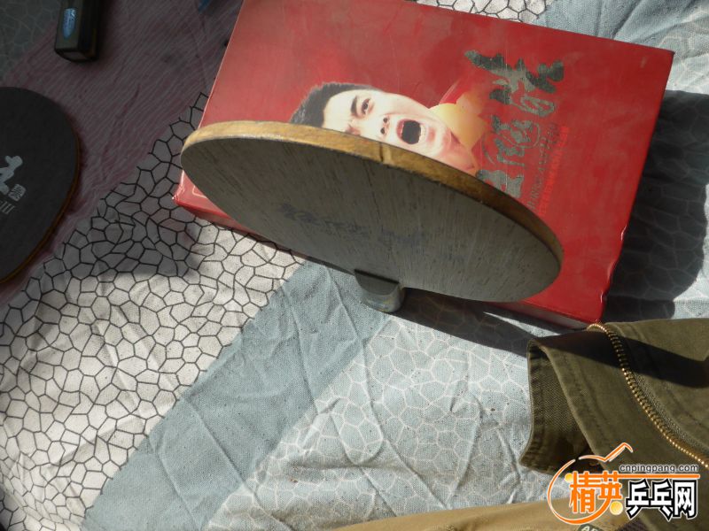 P1010017 (800x600).jpg