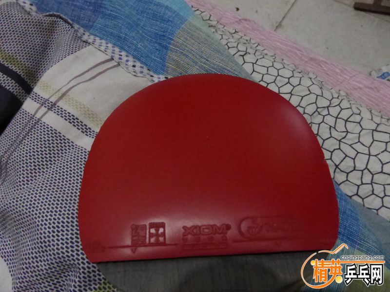 P1010021 (800x600).jpg