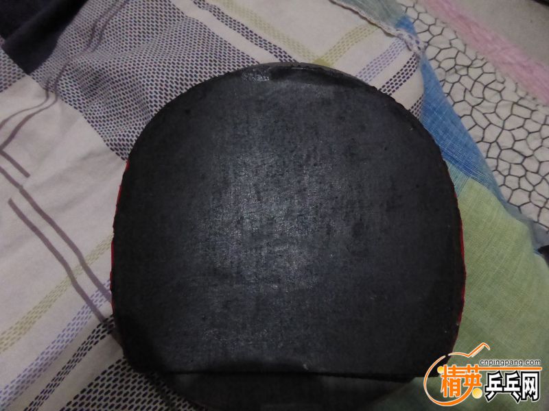 P1010022 (800x600).jpg