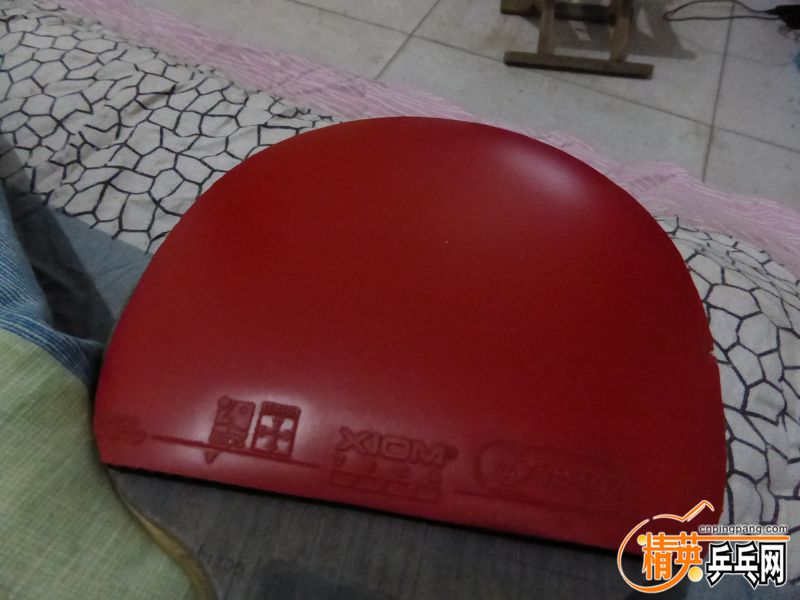 P1010023 (800x600).jpg