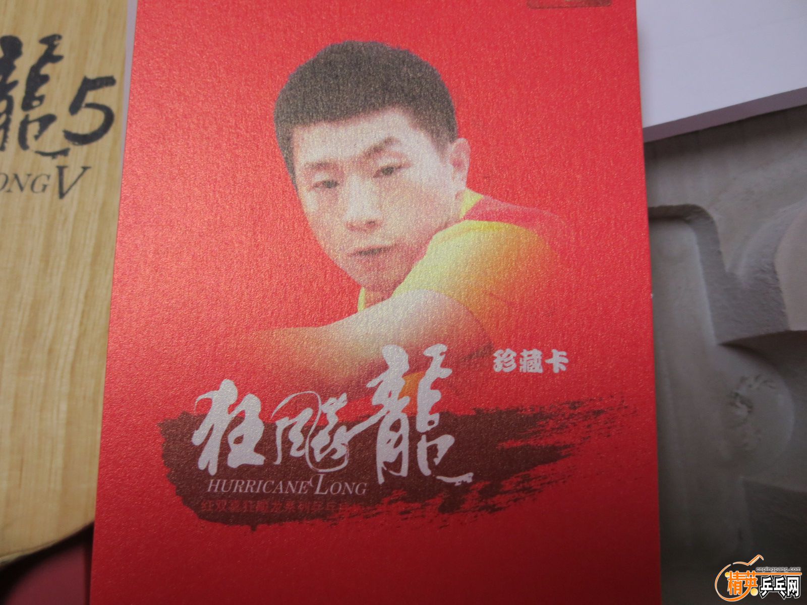 20151104132704.JPG