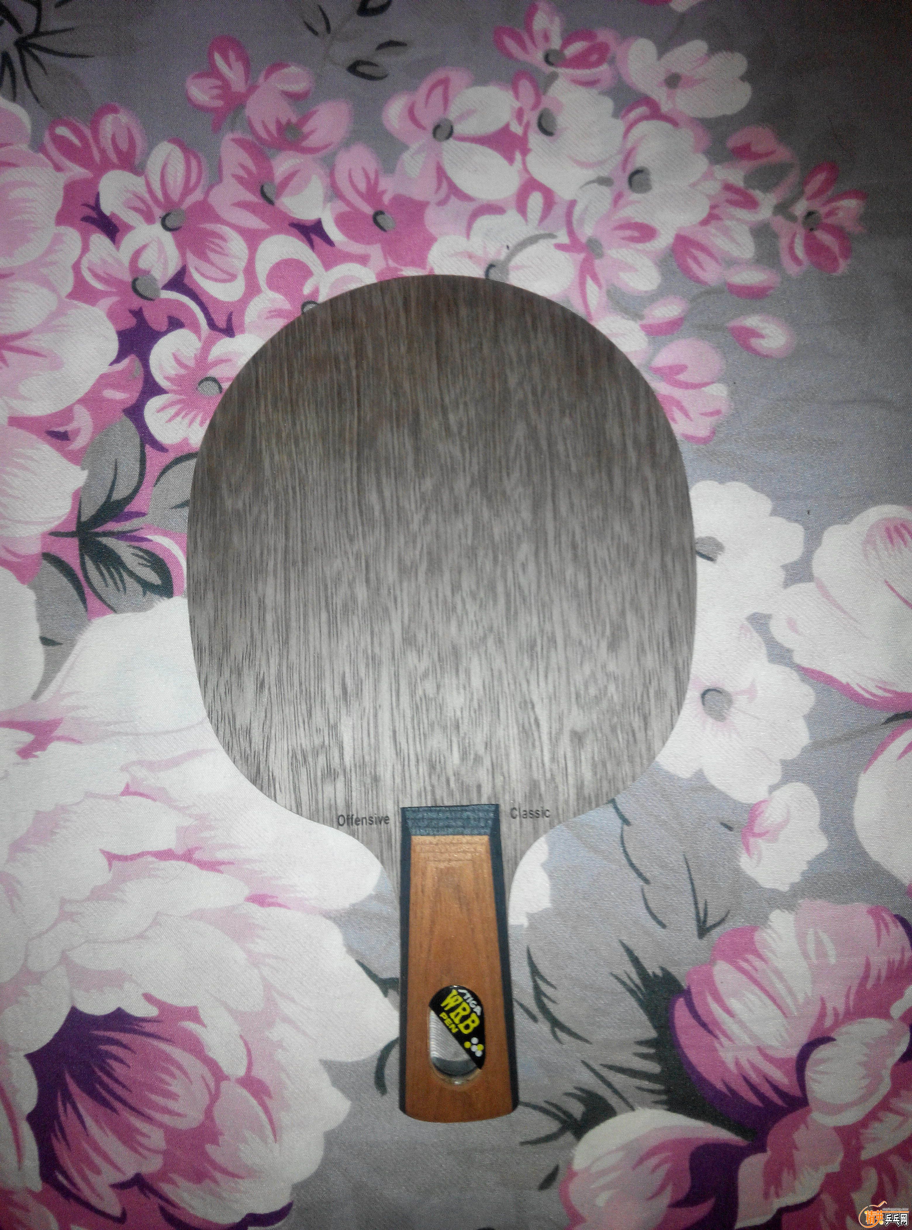 IMG_20151101_092600 ����.jpg