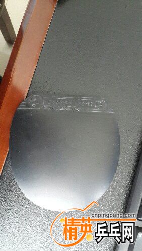20151110_123318.jpg