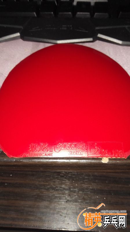 ����13 9_����.jpg