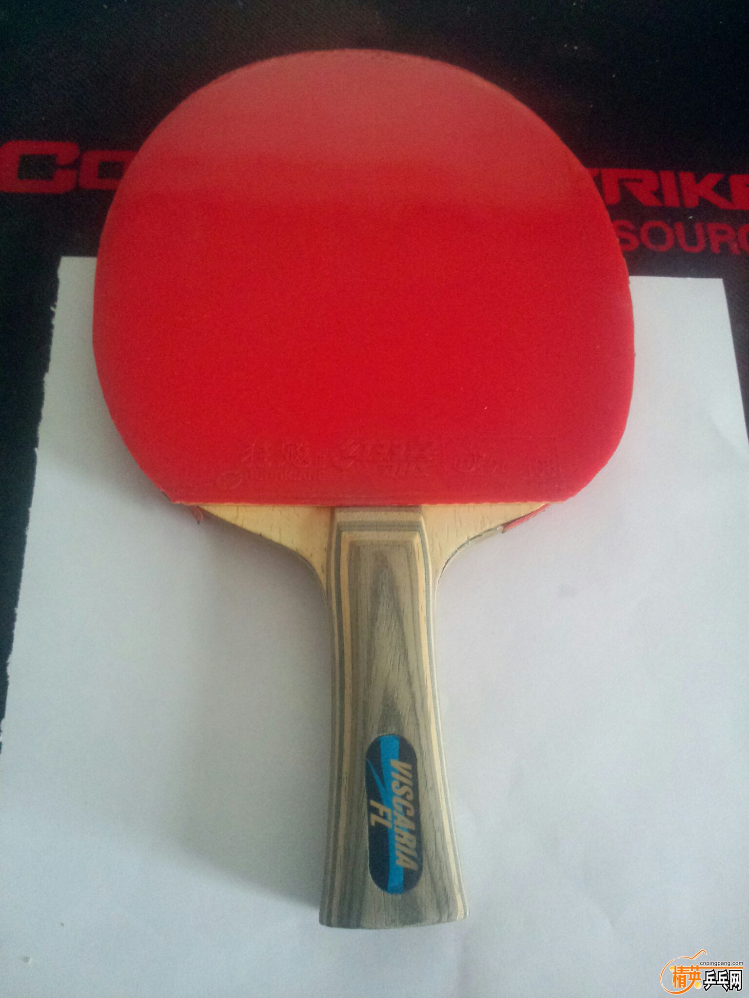 IMG20151113125038.jpg