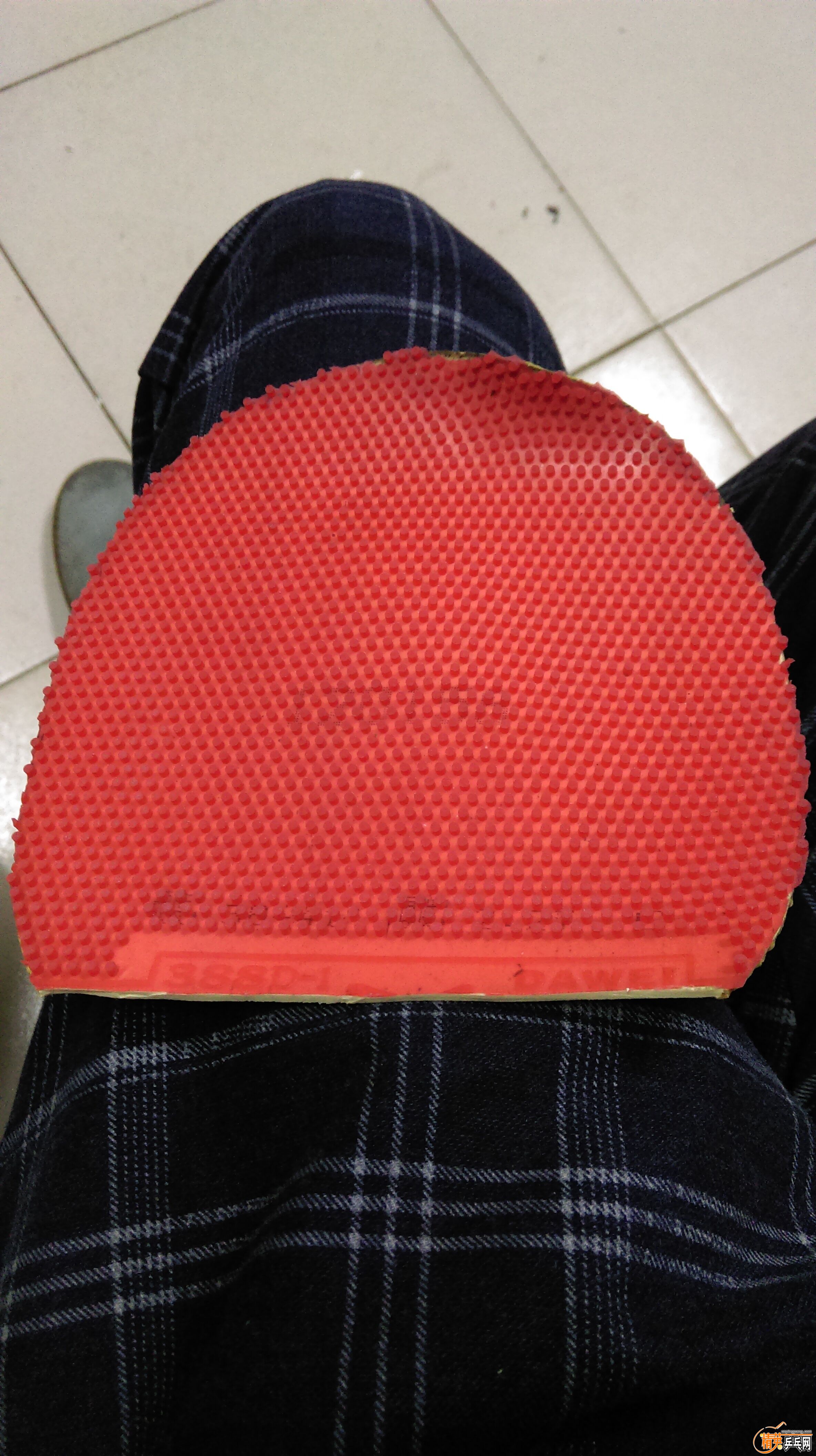 QQͼƬ20151116221523.jpg