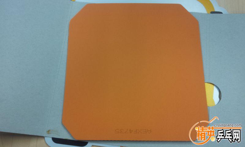 20151119_114115.jpg
