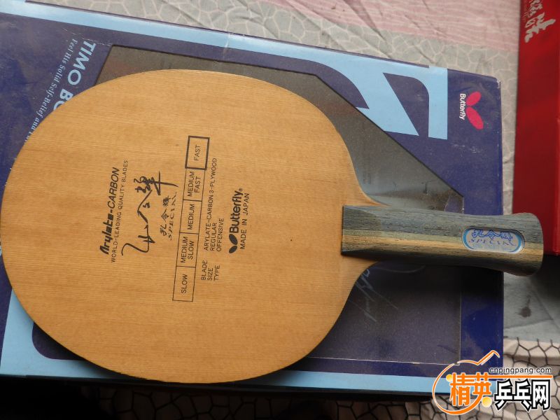 P1010035 (800x600).jpg