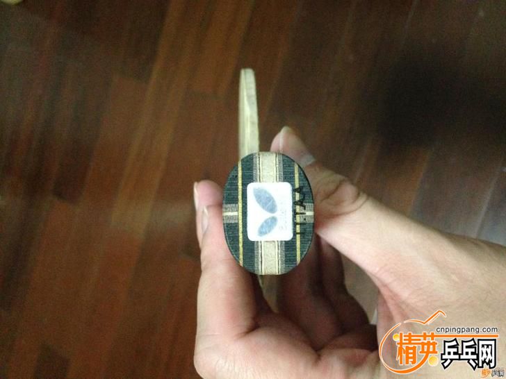 TB1o5E0KpXXXXXOXXXX8ISA.pXX_728x728 (1).jpg