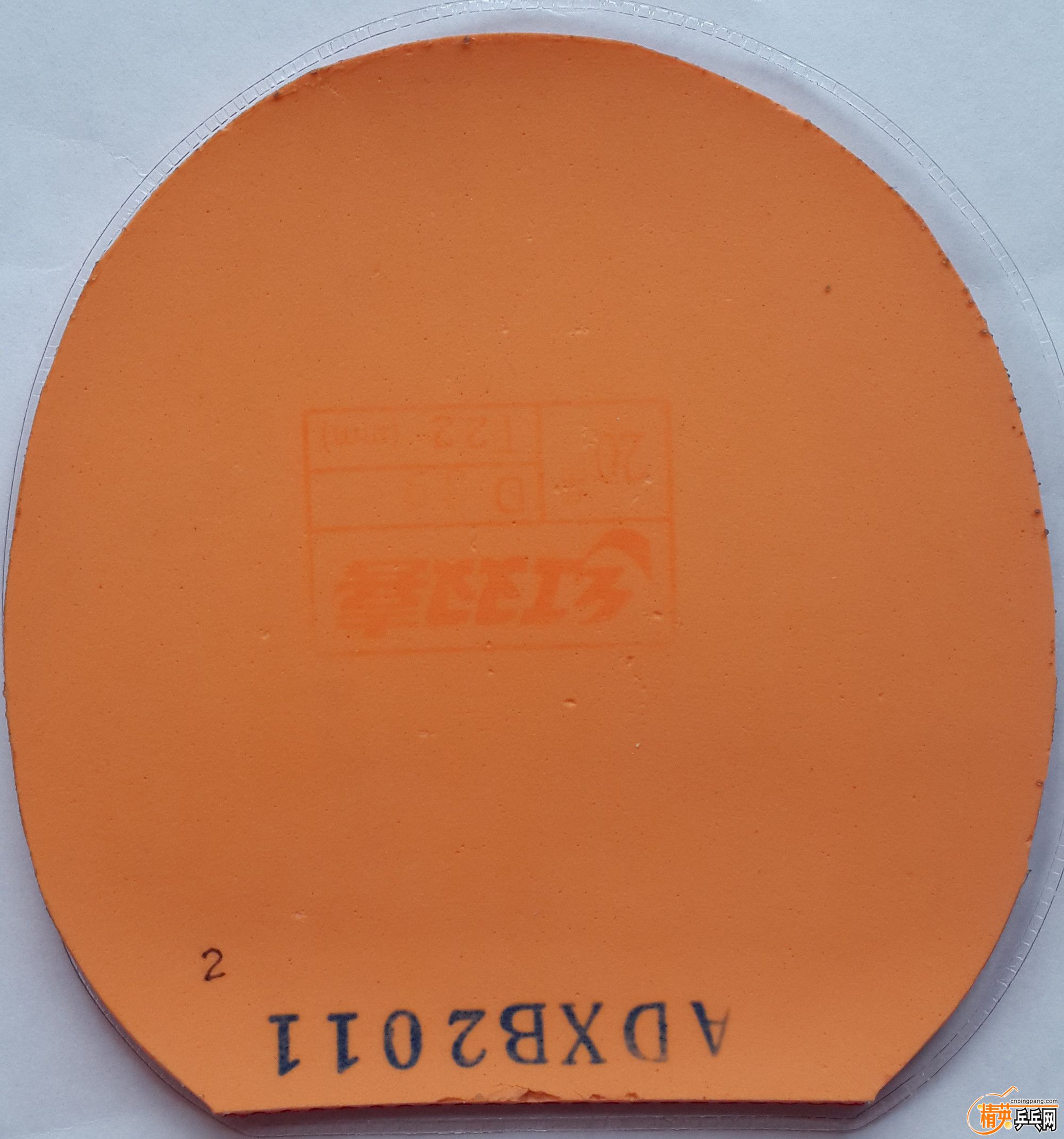 ʡ2.jpg