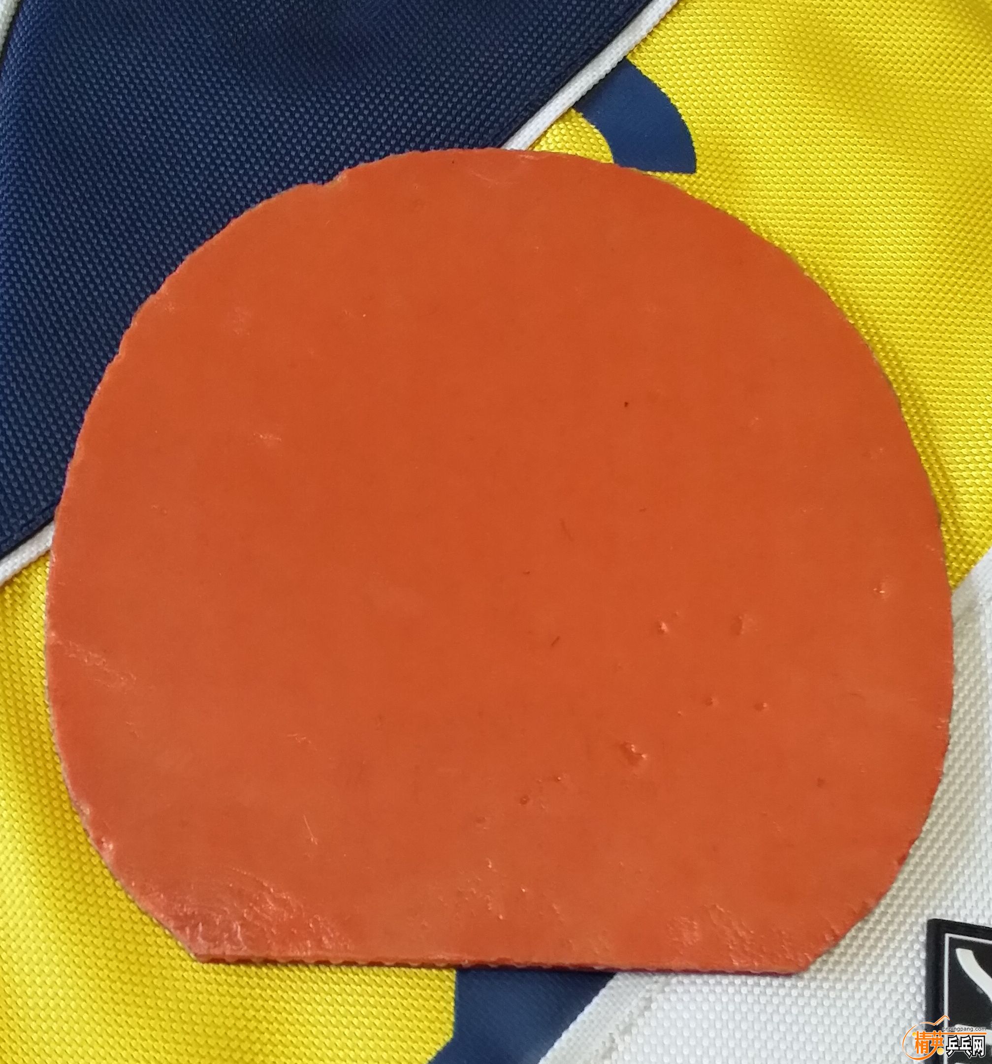 20151124_100214.jpg