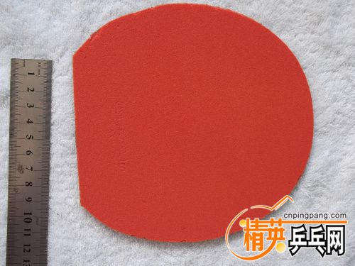 DSCF6953.jpg
