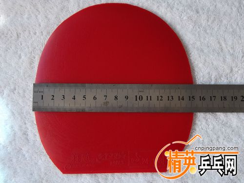 DSCF6965.jpg