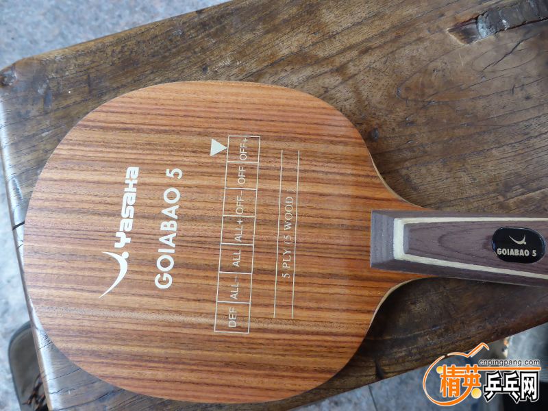 P1010054 (800x600).jpg