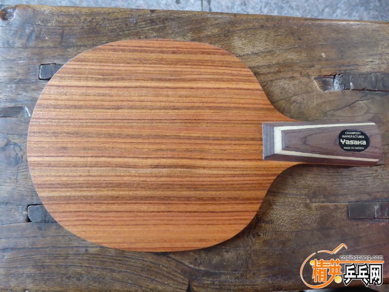 P1010055 (800x600).jpg