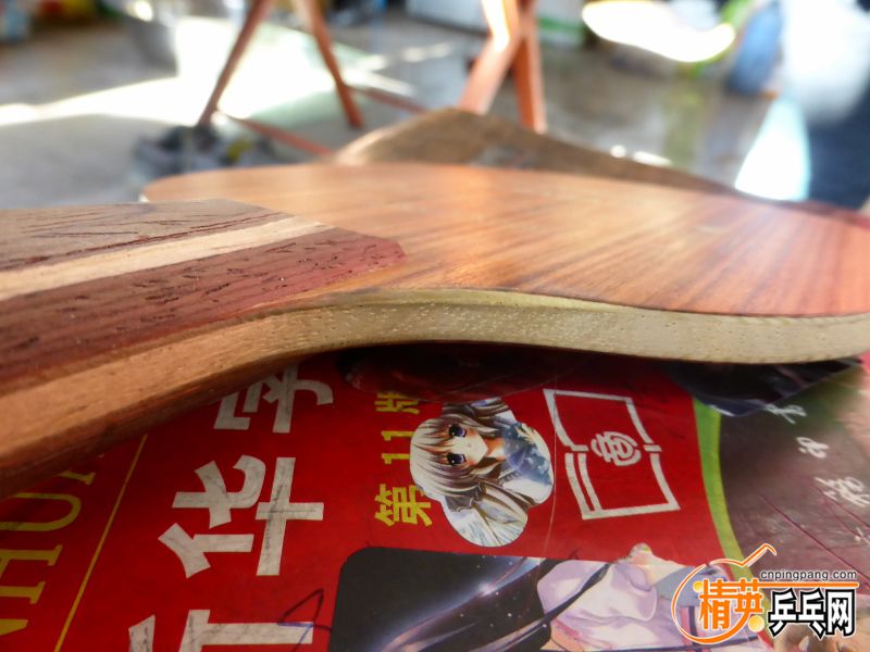 P1010057 (800x600).jpg