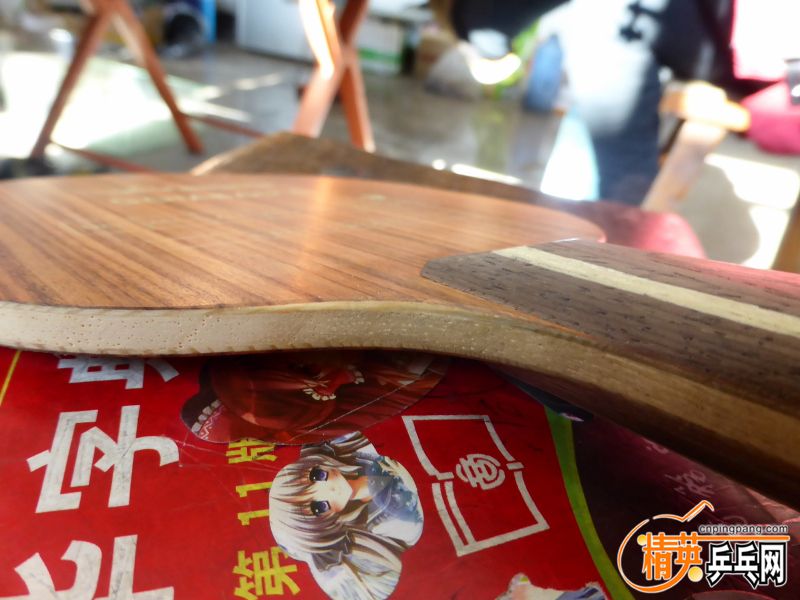 P1010058 (800x600).jpg