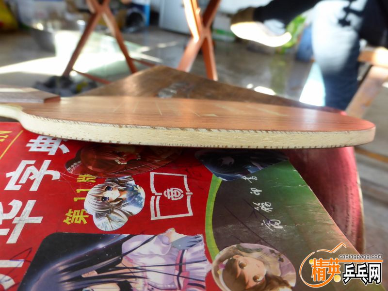 P1010061 (800x600).jpg