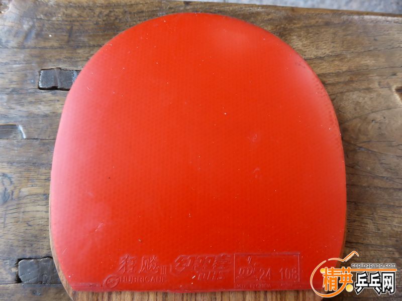 P1010044 (800x600).jpg