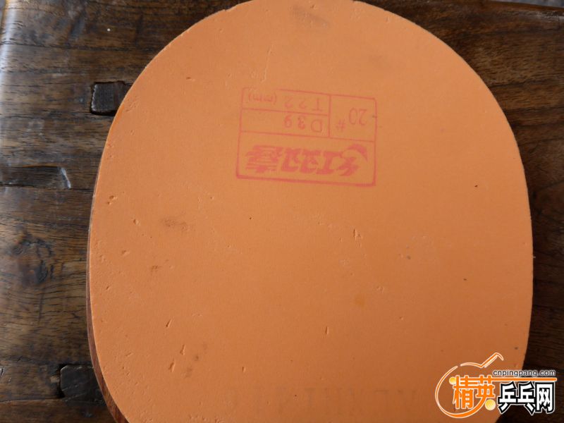 P1010045 (800x600).jpg